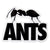 Ants Ushuaia Ibiza Adesivo Grande con Logo Ants