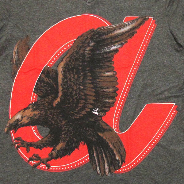 Amnesia Ibiza Olimpia Eagle Men&#39;s V-Neck T-shirt